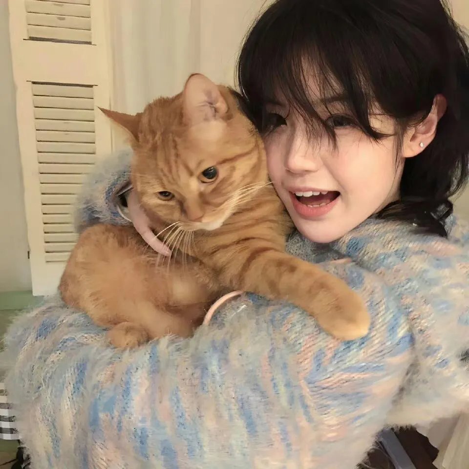 婚礼进行曲（电影）